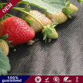 Non+Woven+Fabric+Mulch+Frost+Blanket+Agriculture+Ground+Cover+Garden